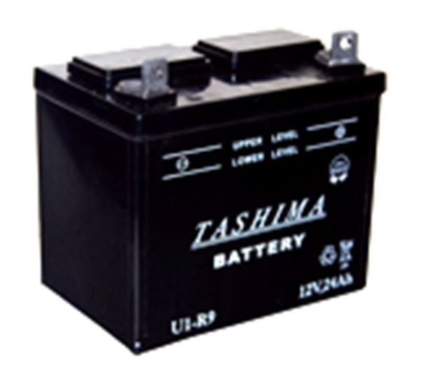 Baterie TASHIMA 12V,24Ah,+ vlevo